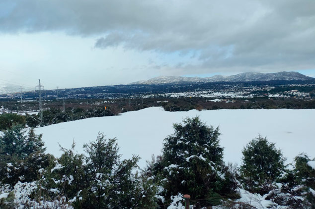 Foto del álbum Alas de Galapagar - Nevada